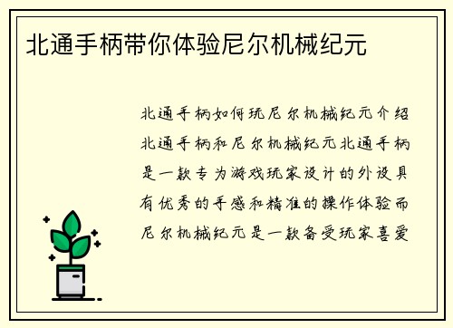 北通手柄带你体验尼尔机械纪元